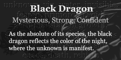 Black Dragon - Mysterious, Strong, Confident