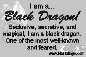 Black dragons are seclusive, secretive, and magical... and some of the most feared